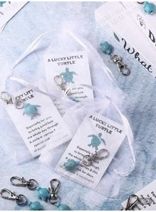 Good Luck College & University Gift – Inspirational Quote with Lucky Turtle - Picture 1 of 3