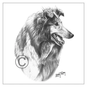 Mike Sibley Rough Collie Hunderasse Grußkarte Happy Birthday Danke Mama - Bild 1 von 3