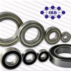 NIRO Kugellager von IBB | 6000-Serie | 2RS oder 2ZZ | Edelstahl | STAFFELPREISE - Bild 1 von 2