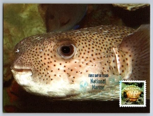 5713a National Marine Sanctuaries Balloon Fish FDC Maxi Card w/DCP Cancel - Picture 1 of 2