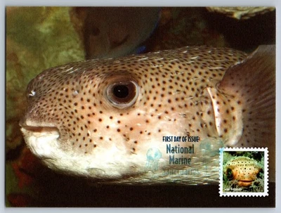 5713a National Marine Sanctuaries Balloon Fish FDC Maxi Card w/DCP Cancel - Image 1 of 2