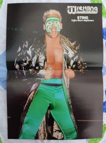 1980's WRESTLING MAGAZINE WWF WWE WCW Double Sided Poster STING STINGER SCORPION Cover