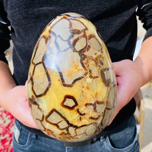 14.96LB Natural Dragon septarian Sphere ball Quartz Crystal Energy Healing - Picture 1 of 10
