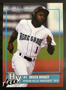 2018 Hudson Valley Renegades Team Card Set (Pick Your Cards) Tampa Bay Rays