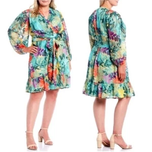 Alex Marie Simone Floral Print Long Sleeve Tie Waist V-Neck Dress Size 14 - Picture 1 of 9