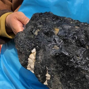 11.9LB Natural Turmalina Negro Cuarzo Cristal Racimo Mineral Espécimen 786 - Imagen 1 de 16