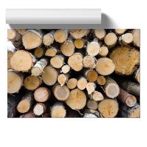 Wood Logs Unframed Wall Art Poster Print Home Decor Living Room Bedroom Kitchen - Picture 1 of 4