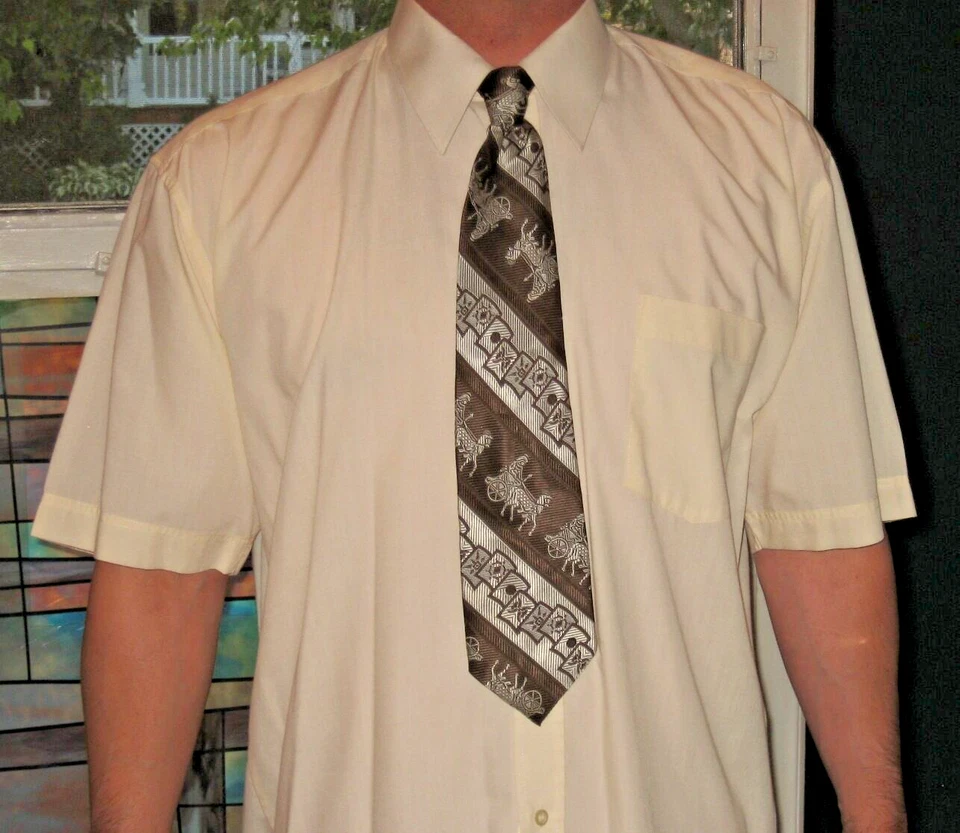 Charlie Kelly Pájaro Abogado Personalizado Halloween Disfraz Juegos con disfraces Camisa Corbata IASIP LRG Foto 1 de 4