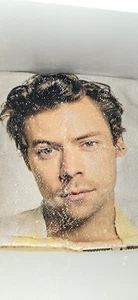 Harry Styles Sequin Pillow Cover 16 x 16 Gold Sequin Beige Fabric New In Package - Picture 1 of 6