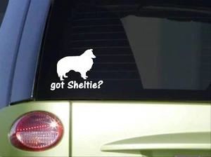 Got Sheltie *I765* 6" Zoll Aufkleber Abziehbild Hund Shetland Schäferhund - Bild 1 von 1