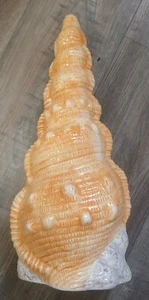 Rare Beautiful Ceramic Peach Colored Extra Tall Seashell Form Planter Statue Hot - Picture 1 of 4