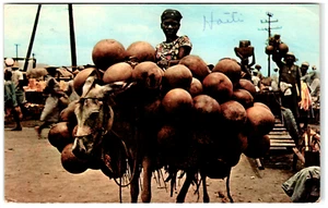 Cartolina Una donna su tana asino carico di zucche Calabashes ad Haiti - Foto 1 di 2