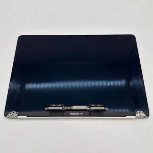 Genuine A2159 A2251 A1989 13" LCD Screen Display for MacBook Pro, Silver Grade C - Picture 1 of 16