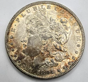 1891 S Morgan Silver Dollar VAM-1E Shortened Wing AU You Grade It! 90% Silver - Picture 1 of 11