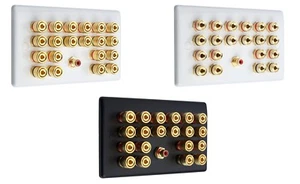 Audio Speaker AV 10.1 Wall Face Plate 20 Terminal Binding Posts + 1 RCA - Picture 1 of 19