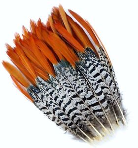 3 Pcs LADY AMHERST PHEASANT Feathers 4-12" RED TIP - Halloween/Craft/Hats/Bridal