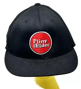 Pliny The Elder Beer Wool Fitted Hat Russian River Brewery SZ 6 7/8 - 7 1/4 - Picture 1 of 14