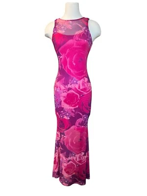 Maxi Vestido Rosa Floral Malla Transparente Hada Sirena Foto 1 de 4