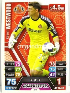 2013/14 Premier League Match - #271 Keiren Westwood - Sunderland