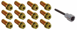 Exhaust Header Bolt Kit 3/8-16 x 7/8" Grade 5 Steel Gold Anodized 12pc + Tool - Picture 1 of 1