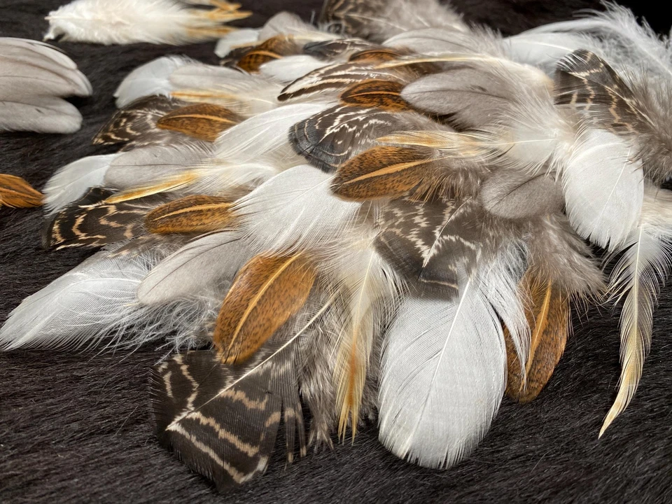 50er Federmix, 4-10cm, 5 Sorten, Hühnerfedern aus artgerechter Haltung, Naturfed - Bild 1 von 4
