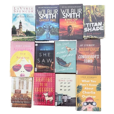 Lot 12 MIX Hardcover Paperback Books Fiction Chick Lit Thriller Mystery L83 Foto 1 de 3