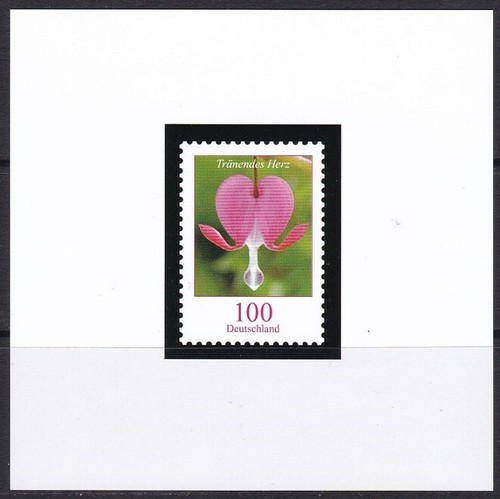 Foto 1 di 1