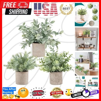 Paquete de 3 mini plantas falsas en maceta de plástico artificial plantas de eucalipto topiarios... Foto 1 de 4