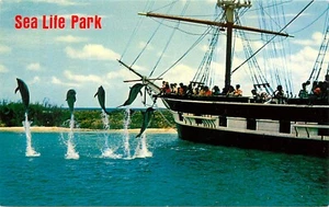 Postal Sea Life Park Oahu Hawaii HI Dolphins - Imagen 1 de 2