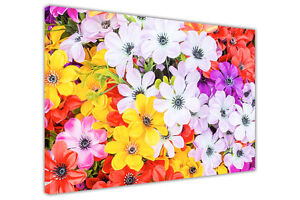 MULTI COLOURED FLOWERS CANVAS PRINTS WALL ART PICTURES / FLORAL HOME DECORATION 
