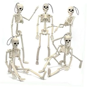5Pcs Hanging Skeleton Halloween Decorations, 16in Movable Joints Realistic - Picture 1 of 8
