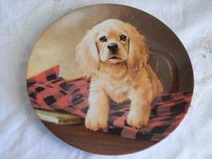"SHIRT TALES" THE COCKER SPANIEL PLATE - Picture 1 of 3