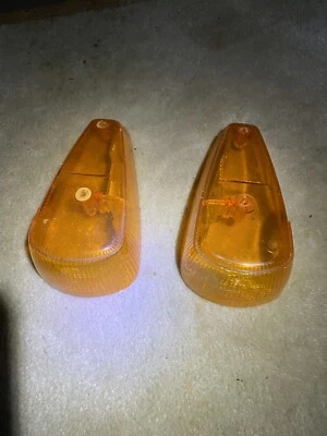 Lente de luz de señal de giro para Volkswagen Beetle Super Beetle Thing 1971-1979  Foto 1 de 2