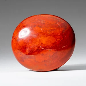 Pietra di palma diaspro rosso lucido (medio) originale - Foto 1 di 4