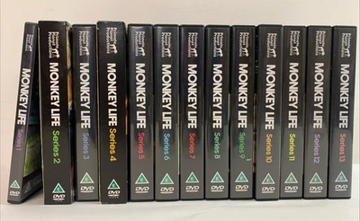 Monkey Life Series 1-13 DVD Box set - Image 1 of 4
