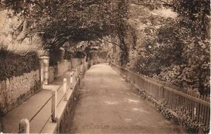 (ax06) Shanklin Chine Road - Gold Lettering - Isle of Wight LL Levy Postcard - Picture 1 of 2