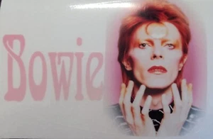 David Bowie Spiegel Aufkleber Mods Vespa Lambretta Roller Van Sticker - Bild 1 von 1