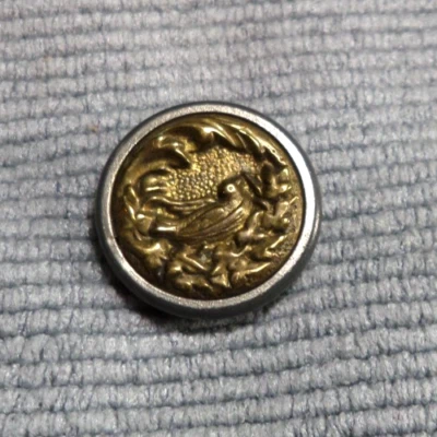 Vintage Antique Metal Picture Button NESTING BIRD - Image 1 of 4