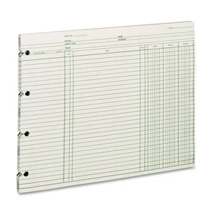 Ledger Papier, Balance Ledger, 9-1/4" x 11-7/8", grün, 100 Blatt (GN2D) - Bild 1 von 2