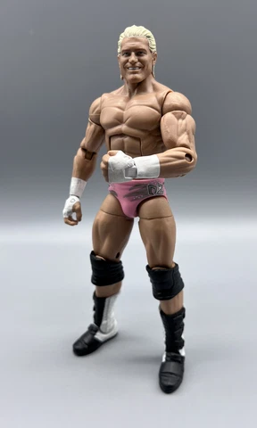 WWE Mattel Elite Series 19 Dolph Ziggler Show Off Rare Wrestling Action Figure Cover