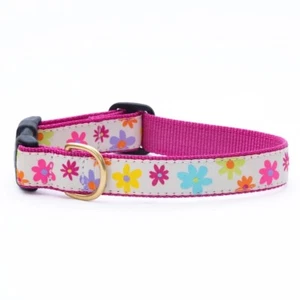 Up Country Dog Collar, Pink Spring Fever, Adjustable Made In USA XS S M L XL XXL - Bild 1 von 2