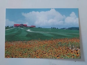 China- Liaoning ' Spring Scene ' 辽宁大连平原Postal Card , New - Picture 1 of 2