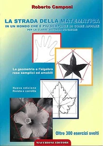La strada della matematica PER LA CLASSE 2° SUPERIORE, 300 ESERCIZI SVOLTI - Imagen 1 de 1