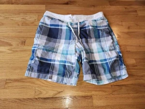 AMERICAN EAGLE OUTFITTERS AEO Men's Blue Plaid Board Shorts Swim Trunks Sz. 36 - Picture 1 of 3