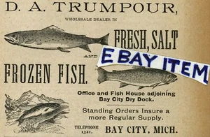 1899 D.A. TRUMPOUR Bay City Michigan ANNUNCIO PUBBLICITARIO sale fresco pesce congelato DOCK - Foto 1 di 1