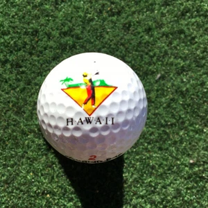 Vintage Hawaii Golfing Logo Golf Display Ball Spalding 90 Touring Pro Ball - Picture 1 of 3