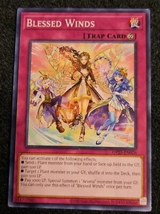 Yu-Gi-Oh! Blessed Winds OP25-EN026 Unlimited Edition Common Neuwertig - Bild 1 von 1