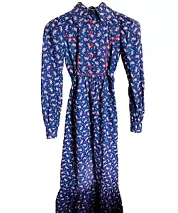 Plain Jane San Francisco Maxi Dress Size 5 Festival Hippie Floral Blue Pink 70s - Picture 1 of 11