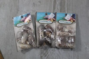 3 sacchetti da 6 pezzi oliva gibbosa spiaggia conchiglie artigianato gioielli - Foto 1 di 3