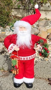 NUOVISSIMA Ashland Casetta di Natale 24" Babbo Natale in piedi con corona e slitta - Foto 1 di 8